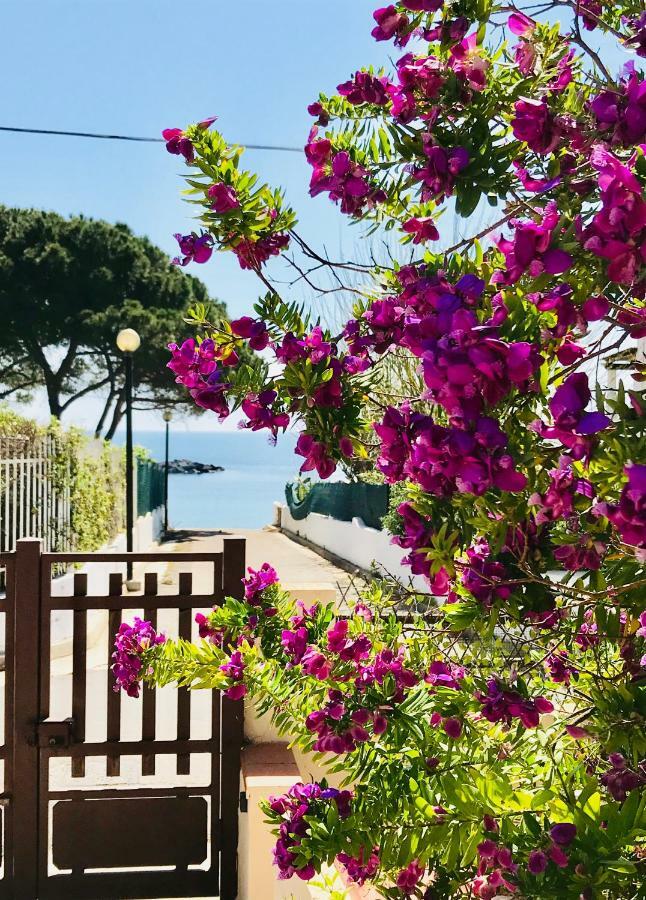 Villa Ro Porto Columbu - Perd'E Sali Exterior foto